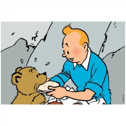 Tintin - Pussel - Tintin och björnungen